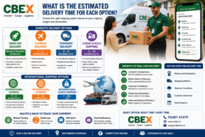 estimated delivery time infographic for same day express standard cargo and international shipping with real time tracking and courier logistics services